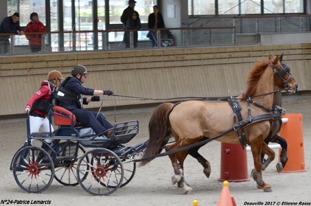 2017-03 Indoor de Deauville - CCA Chevaux, 24-DSC_4039