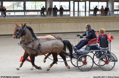 2017-03 Indoor de Deauville - CCA Chevaux, 24-DSC_4041