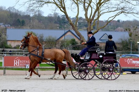 2017-03 Indoor de Deauville - CCA Chevaux, 25-DSC_3868