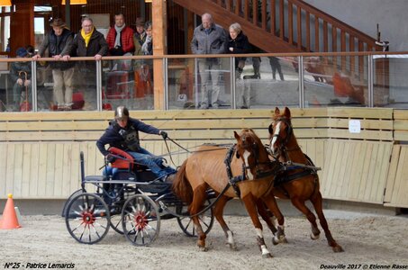 2017-03 Indoor de Deauville - CCA Chevaux, 25-DSC_4678