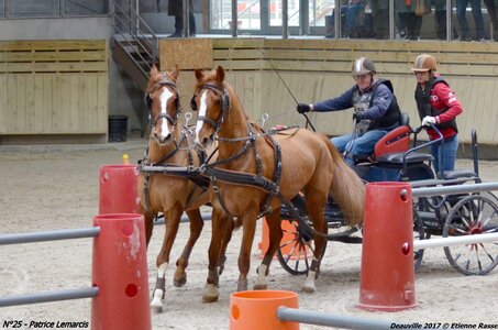 2017-03 Indoor de Deauville - CCA Chevaux, 25-DSC_4710