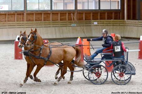 2017-03 Indoor de Deauville - CCA Chevaux, 25-DSC_4719