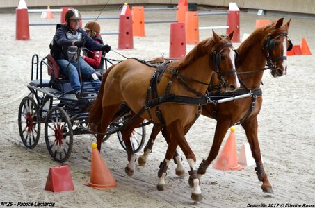 2017-03 Indoor de Deauville - CCA Chevaux, 25-DSC_4722