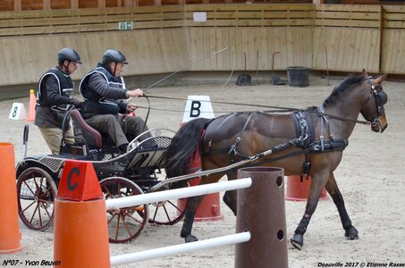 2017-03 Indoor de Deauville - CCA Poneys, 07-DSC_4240