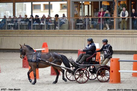 2017-03 Indoor de Deauville - CCA Poneys, 07-DSC_4249