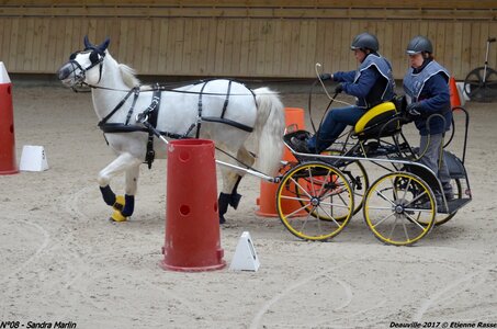 2017-03 Indoor de Deauville - CCA Poneys, 08-DSC_4172