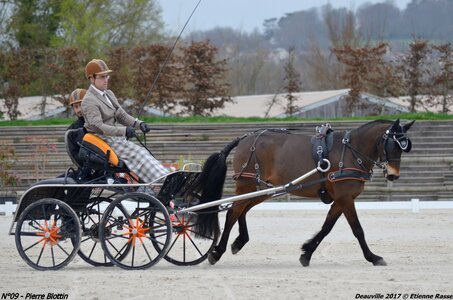 2017-03 Indoor de Deauville - CCA Poneys, 09-DSC_3820