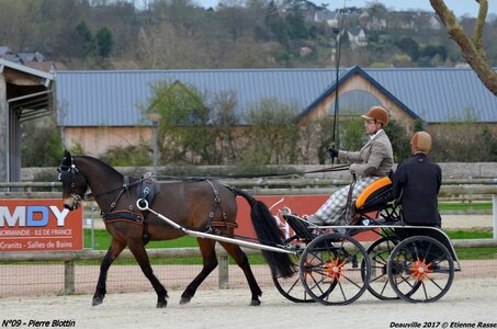 2017-03 Indoor de Deauville - CCA Poneys, 09-DSC_3822