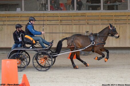 2017-03 Indoor de Deauville - CCA Poneys, 09-DSC_4259