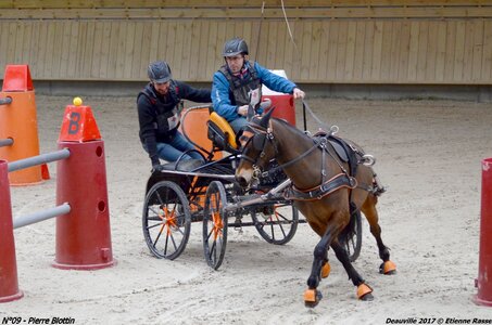 2017-03 Indoor de Deauville - CCA Poneys, 09-DSC_4270