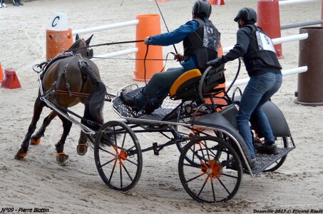 2017-03 Indoor de Deauville - CCA Poneys, 09-DSC_4274