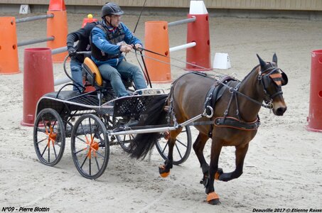 2017-03 Indoor de Deauville - CCA Poneys, 09-DSC_4279