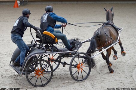 2017-03 Indoor de Deauville - CCA Poneys, 09-DSC_4280