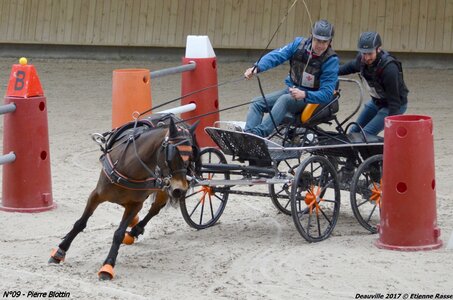 2017-03 Indoor de Deauville - CCA Poneys, 09-DSC_4284