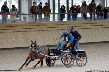 2017-03 Indoor de Deauville - CCA Poneys, 09-DSC_4293