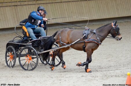 2017-03 Indoor de Deauville - CCA Poneys, 09-DSC_4296