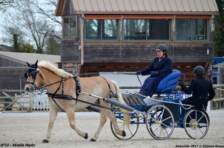 2017-03 Indoor de Deauville - CCA Poneys, 10-DSC_3841