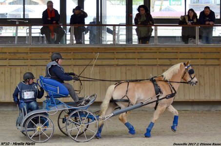 2017-03 Indoor de Deauville - CCA Poneys, 10-DSC_4431