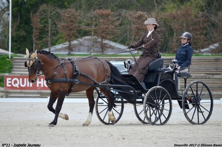 2017-03 Indoor de Deauville - CCA Poneys, 11-DSC_3826