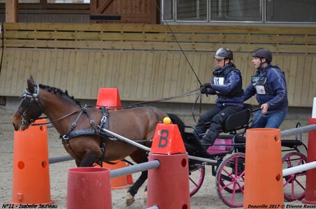 2017-03 Indoor de Deauville - CCA Poneys, 11-DSC_4309