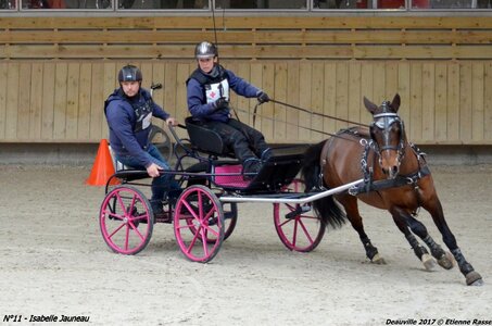 2017-03 Indoor de Deauville - CCA Poneys, 11-DSC_4317