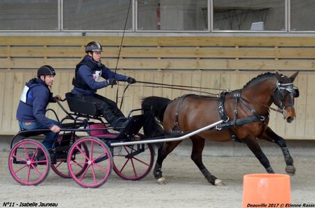 2017-03 Indoor de Deauville - CCA Poneys, 11-DSC_4323