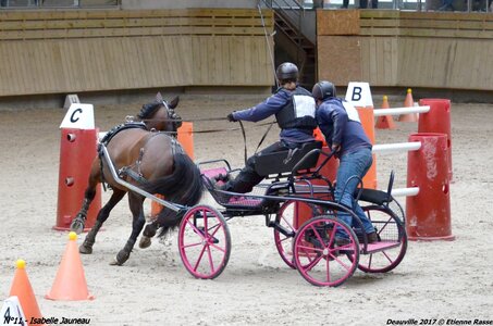 2017-03 Indoor de Deauville - CCA Poneys, 11-DSC_4328