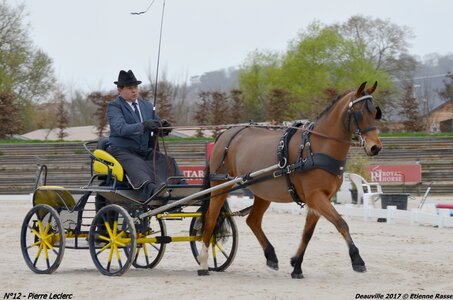 2017-03 Indoor de Deauville - CCA Poneys, 12-DSC_3828