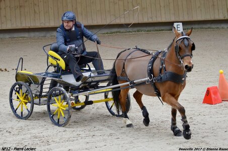 2017-03 Indoor de Deauville - CCA Poneys, 12-DSC_4348