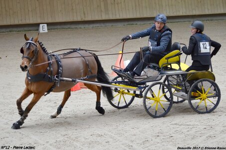 2017-03 Indoor de Deauville - CCA Poneys, 12-DSC_4358