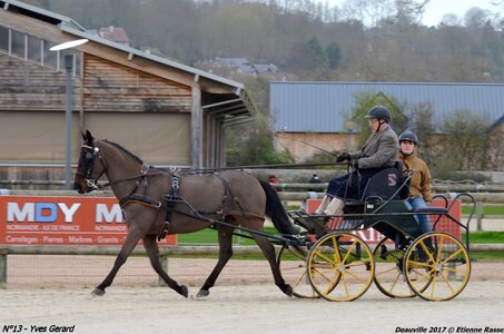2017-03 Indoor de Deauville - CCA Poneys, 13-DSC_3830