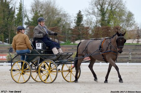 2017-03 Indoor de Deauville - CCA Poneys, 13-DSC_3833