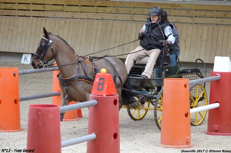 2017-03 Indoor de Deauville - CCA Poneys, 13-DSC_4365