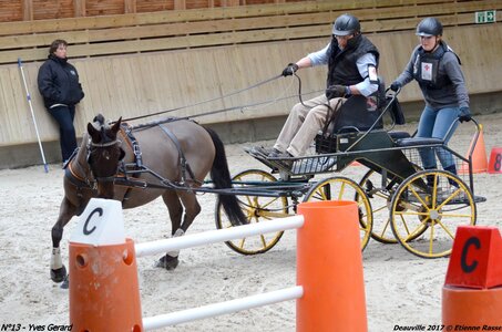 2017-03 Indoor de Deauville - CCA Poneys, 13-DSC_4367