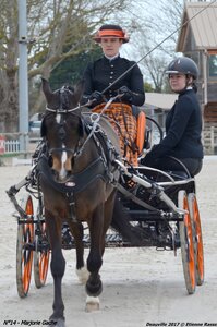 2017-03 Indoor de Deauville - CCA Poneys, 14-DSC_3839