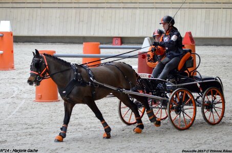 2017-03 Indoor de Deauville - CCA Poneys, 14-DSC_4375