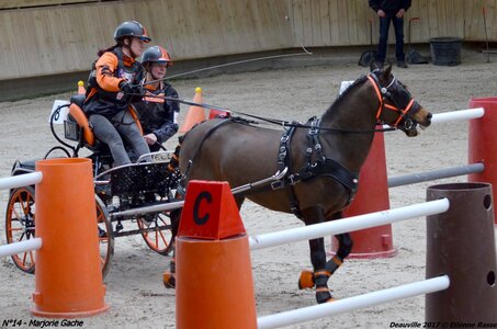 2017-03 Indoor de Deauville - CCA Poneys, 14-DSC_4379