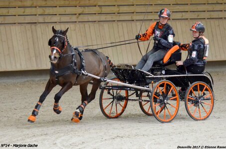 2017-03 Indoor de Deauville - CCA Poneys, 14-DSC_4390
