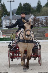 2017-03 Indoor de Deauville - CCA Poneys, 15-DSC_3810