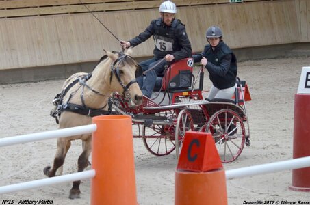 2017-03 Indoor de Deauville - CCA Poneys, 15-DSC_4210