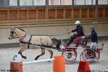 2017-03 Indoor de Deauville - CCA Poneys, 15-DSC_4212