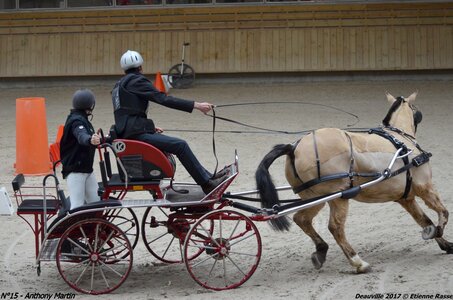 2017-03 Indoor de Deauville - CCA Poneys, 15-DSC_4216
