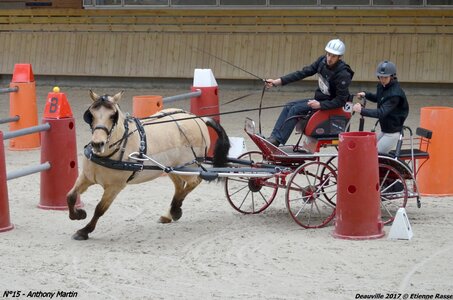2017-03 Indoor de Deauville - CCA Poneys, 15-DSC_4220