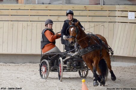 2017-03 Indoor de Deauville - CCA Poneys, 16-DSC_4179
