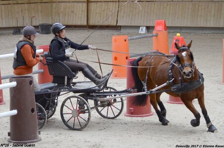 2017-03 Indoor de Deauville - CCA Poneys, 16-DSC_4184