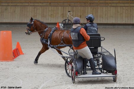 2017-03 Indoor de Deauville - CCA Poneys, 16-DSC_4187