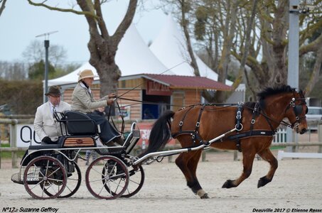2017-03 Indoor de Deauville - CCA Poneys, 17-DSC_3851
