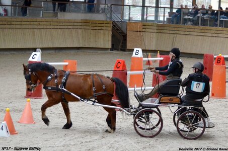 2017-03 Indoor de Deauville - CCA Poneys, 17-DSC_4399