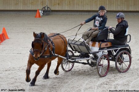 2017-03 Indoor de Deauville - CCA Poneys, 17-DSC_4409