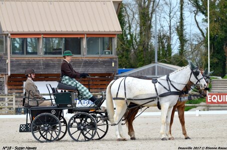 2017-03 Indoor de Deauville - CCA Poneys, 18-DSC_3974